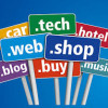 web hosting,TLD